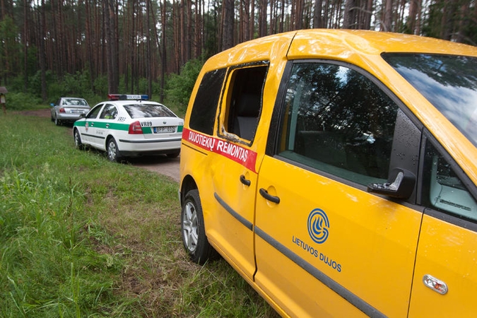 Vilniaus apylinkėse klaidžioja sužeistas briedis