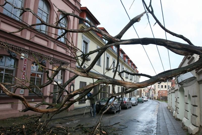 Vėtra Vilniuje ir apylinkėse didelių bėdų nepadarė (papildyta)
