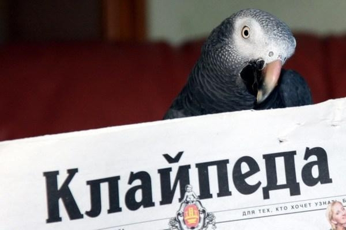 Atnaujinta dienraščio “Klaipėda” leidyba rusų kalba 