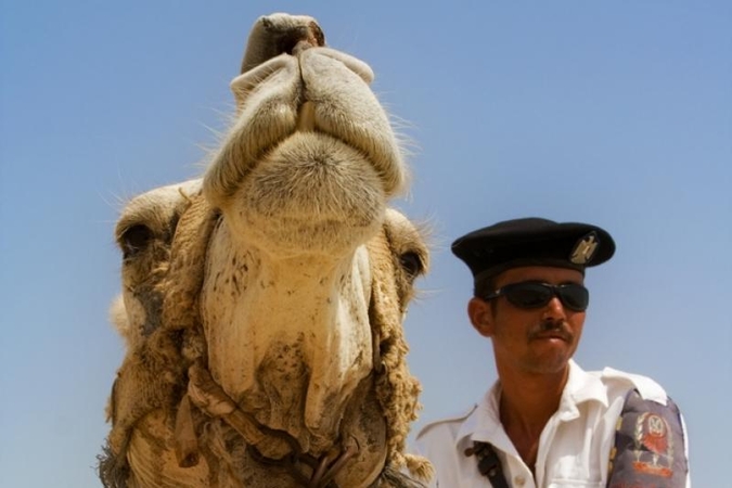 Egipto teismas uždraudė policininkams ir kariams auginti barzdas