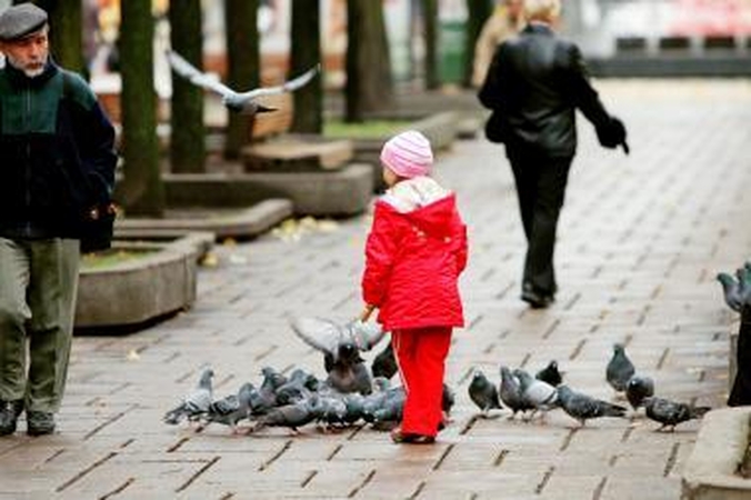Lietuvio tapatybė: vis dar pakeliui iš kaimo į miestą