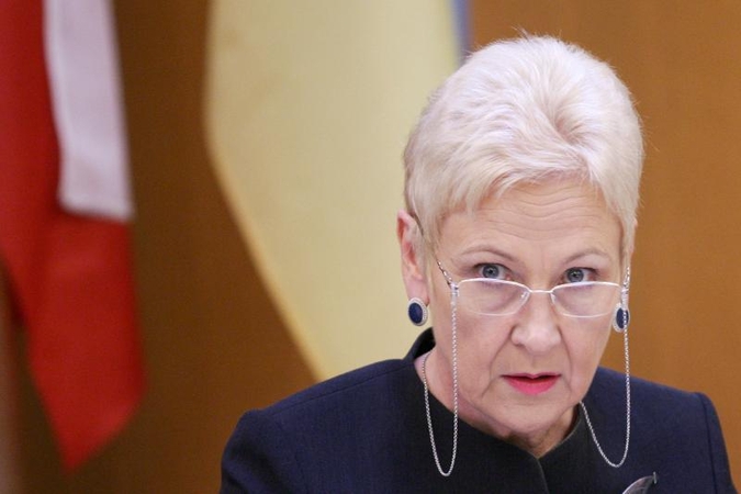I.Degutienė teigia buvusi šokiruota Ž.Plytniko pateiktų sumų