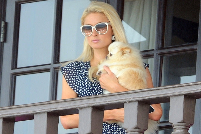 Paris Hilton persekiotojas vėl siautėja