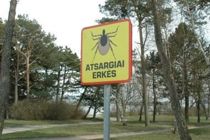 Pirmąja erkių auka šiemet tapo 54-erių kaunietė