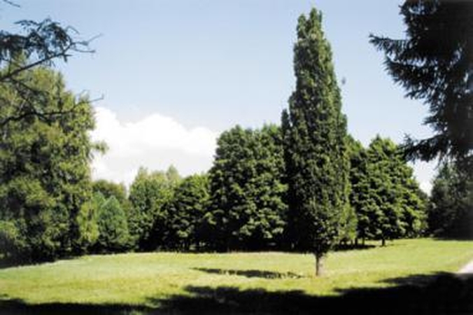 T.Ivanausko Obelynės sodybą saugos valstybė