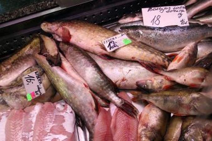 Šeštadienį žuvies turguje – švieži karpiai