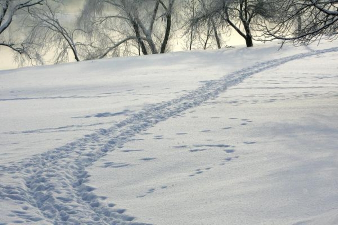Nusikaltėlius gaudyti padeda sniegas