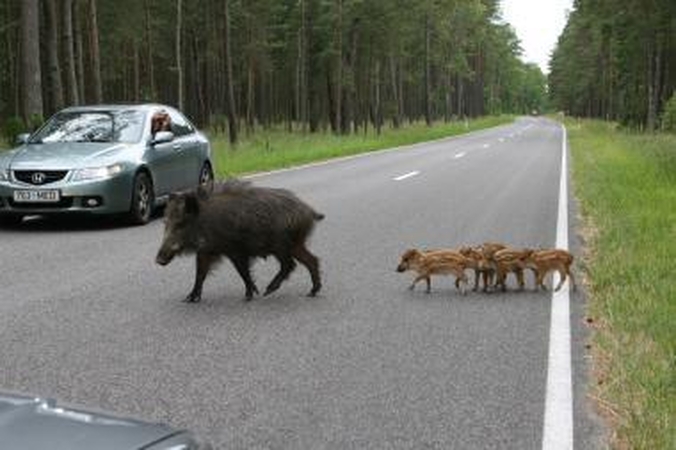 Švęsti Žemės dieną į Kauną suvažiuos vaikai iš visos Lietuvos