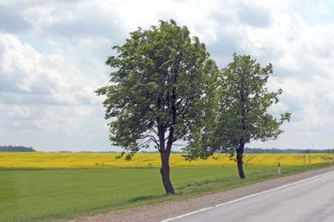 Partrenktas pusamžis vyras ligoninėje mirė