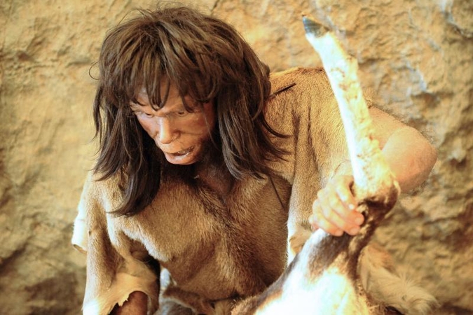 Žmogaus protėvis evoliucijos pusiaukelėje: šimpanzės ir Homo sapiens