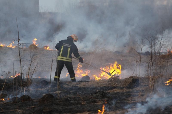 Ugniagesiai per parą 69 kartus gesino degančią žolę
