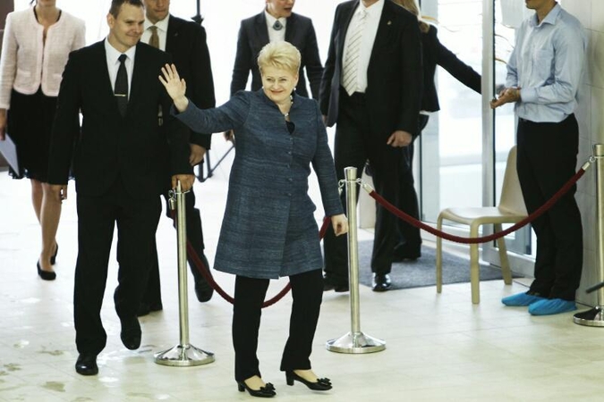 Prezidentė: pirmininkaudama ES Lietuva spręs ir lietuvių problemas