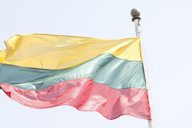 Lietuva švenčia Valstybės          dieną