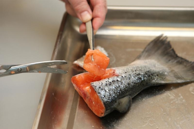 Baltijos jūroje sugautoje lašišoje - neleistinas dioksinų kiekis