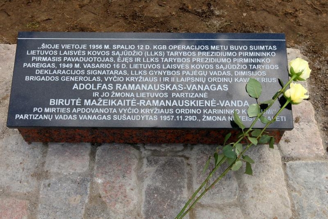 Partizanų vado byla: dėl prastos sveikatos kaltinamoji nesirodo teisme