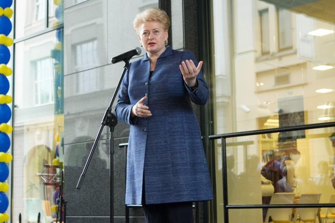 Prezidentė: ES pirmininkavimui turi susitelkti visos politinės jėgos