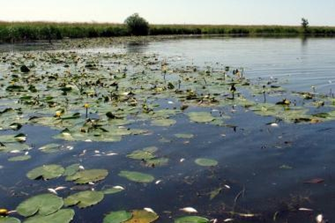 Iš Šyšos upės teršėjų reikalaujama 250 tūkst. litų