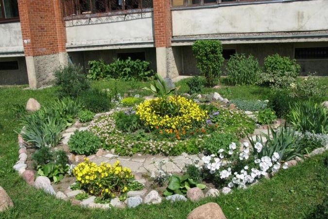 Gėlyno puoselėjimas – tam tikra meditacijos forma?