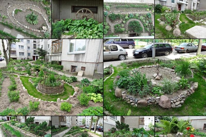 Gražiausias Vilniaus gėlynas: kas pirmauja?
