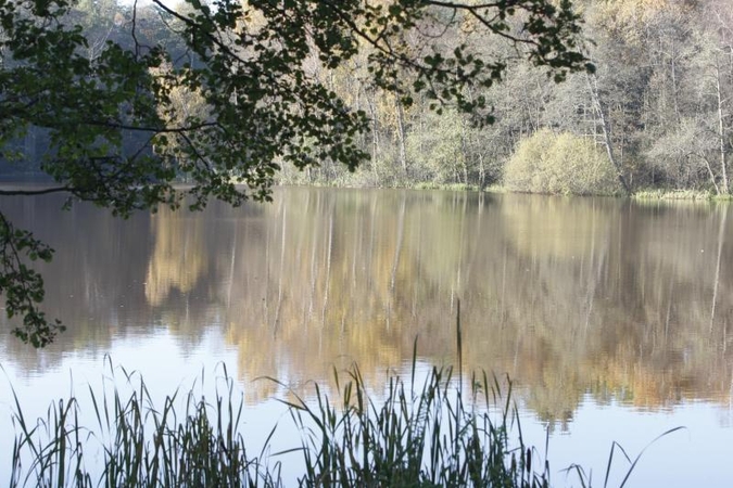 Mumlaukio ežero išvalymas sukėlė nepasitenkinimą  
