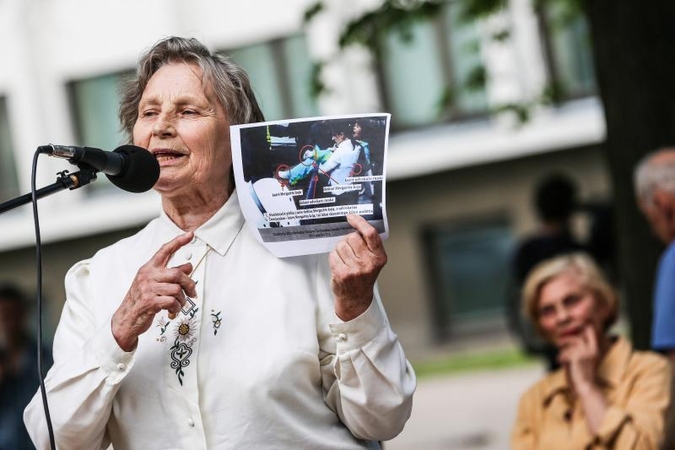 Vienybės aikštėje mitinguotojai smerkė pedofilų gynėjus