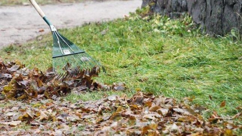 Už pašalpas lapus grėbusi moteris savivaldybę padavė į teismą 