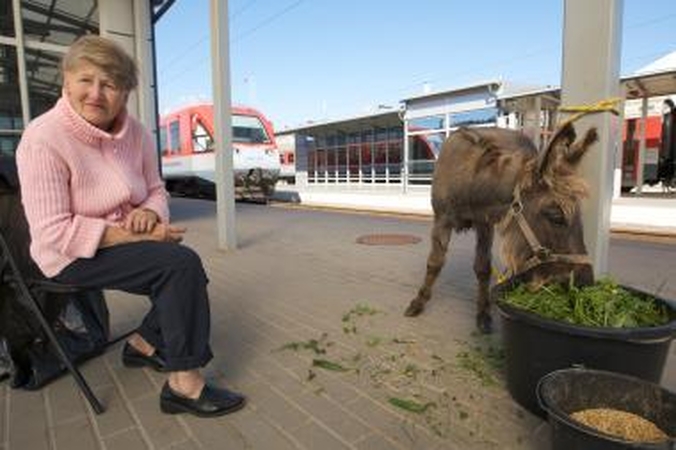 LNK asilas ves pokalbių šou  „Antanėlio Lietuva“