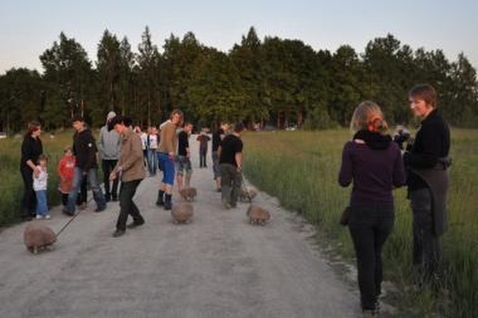 Vakarų Lietuvą apglėbs TATA festivalis (papildyta)