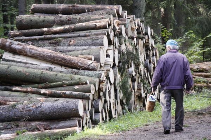 Seimo sprendimas: vietoj miškų augs miestai