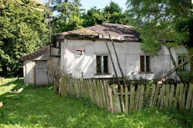 Vienkiemyje – šiurpi egzekucija