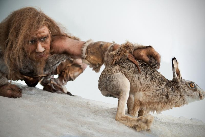 Kodėl neandertaliečiams nebuvo lemta vaikštinėti Žeme?