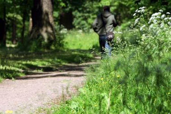 Kaunietė, siekdama vaikino dėmesio, sukūrė išžaginimo istoriją
