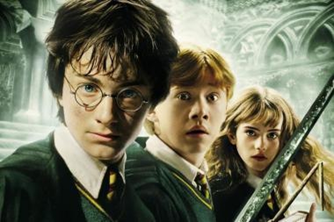 Harris Potteris kaltinamas dėl nykstančių pelėdų