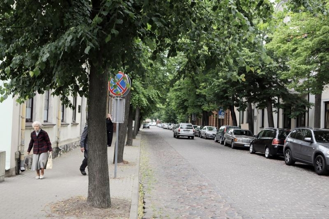 Kelio ženklus laisvins iš medžių  glėbio