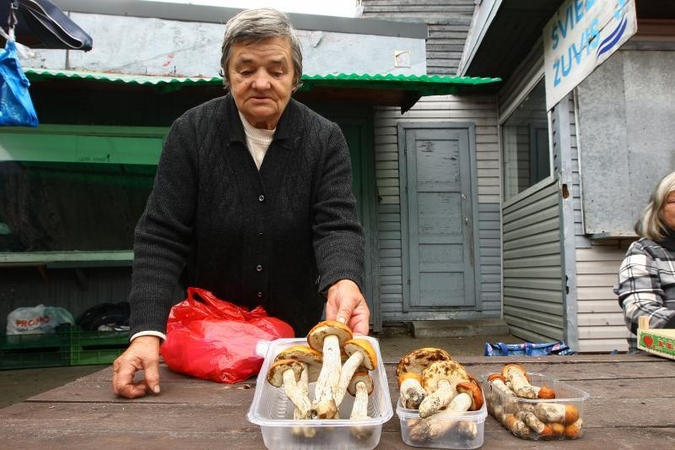 Pirmieji baravykai Kauno turguose – net po 45 litus už kilogramą
