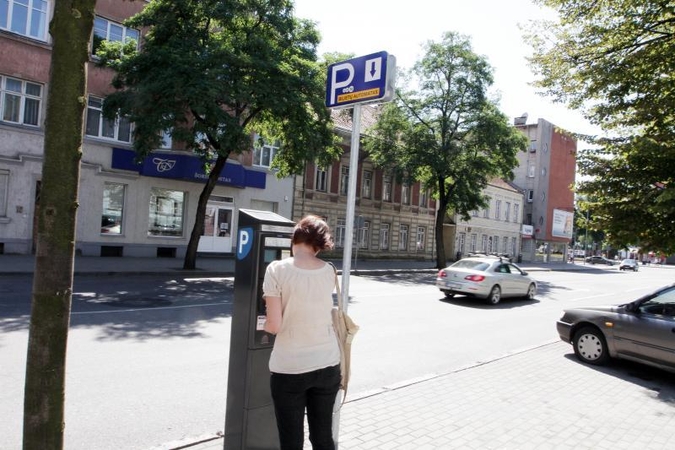 Daugiavaikėms šeimoms lengvatų dar teks palaukti