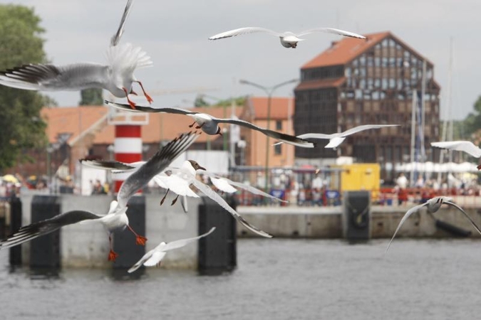 Pasaulinės turizmo dieną Klaipėdoje – nemokami pažintiniai renginiai 
