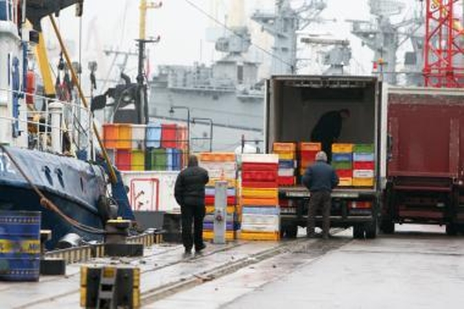 Nori perkelti Žuvininkystės departamentą