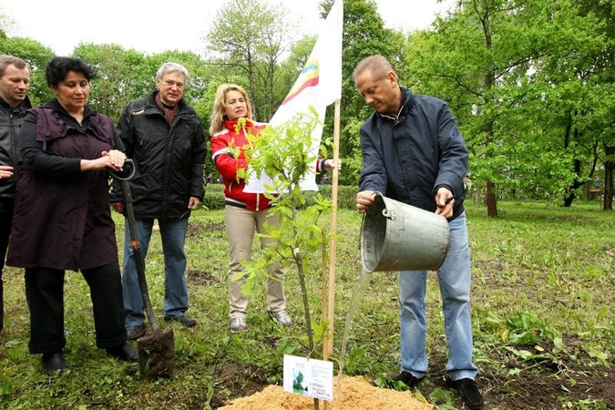Unikalių Lietuvos ąžuolų giraitė plečiasi