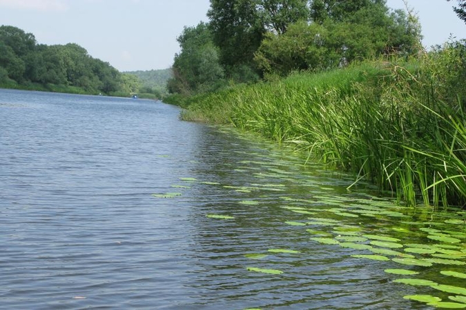 Išvalyta upė vilios poilsiautojus ir baidarininkus