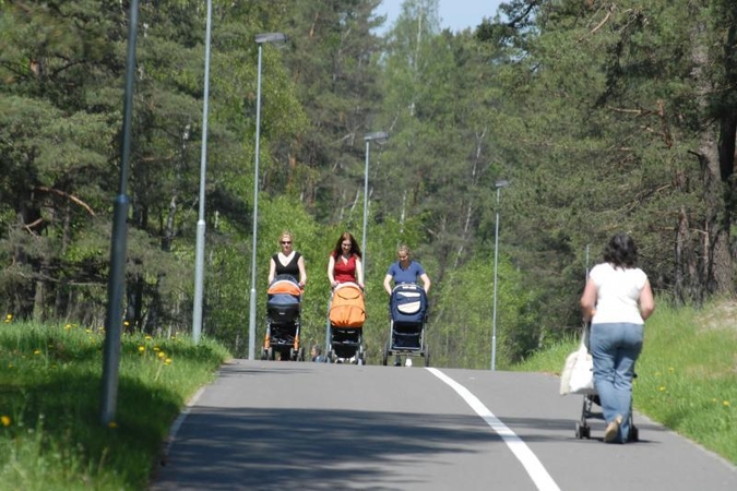Poilsiautojams – perspėjimai dėl pavojų miškuose