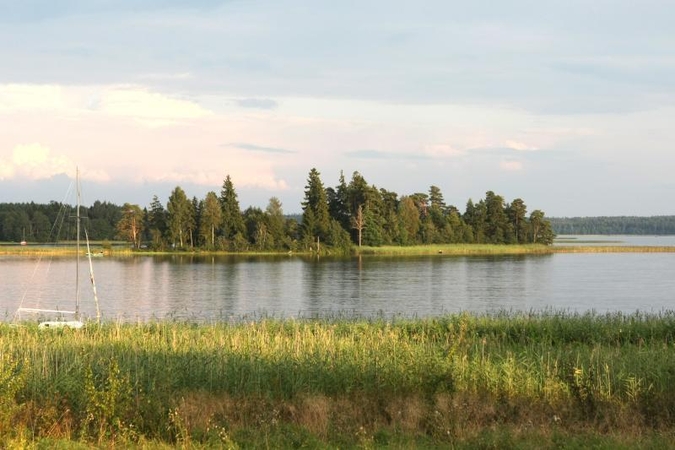 Pradedama demarkuoti siena su Rusija