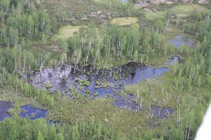 Įrodyta: rasti fragmentai yra Tunguskos meteorito liekanos