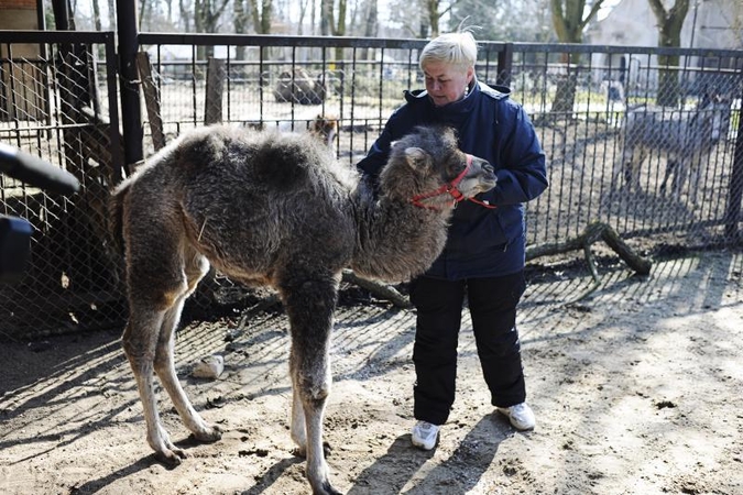 Zoologijos sodas pavasarį pasitiko su būriu jauniklių