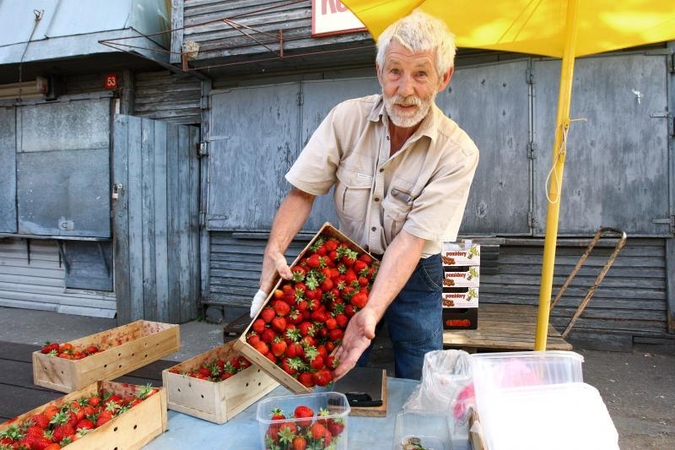 Turguje pakvipo lietuviškomis braškėmis: po 24 litus už kilogramą