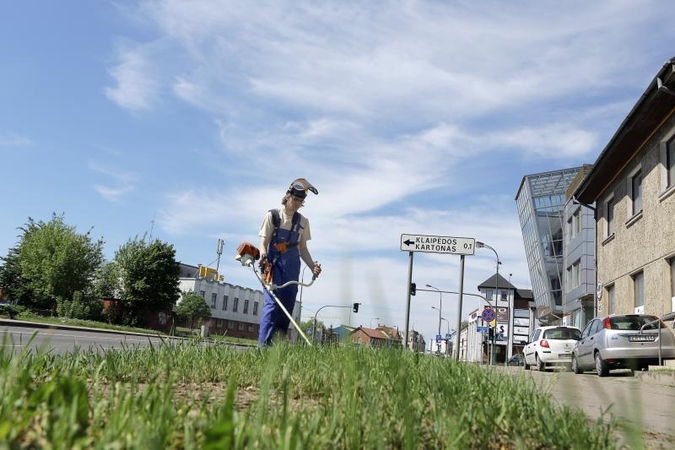 Želdinių prižiūrėtojai nespėja šienauti žolės