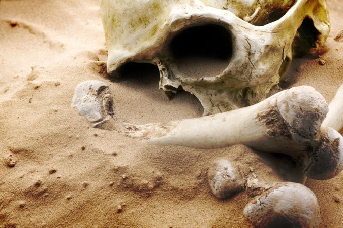 Šalčininkų ir Širvintų rajonuose aptikti žmonių kaulai