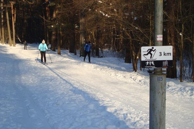 Vingio parke įrengtos lygumų slidinėjimo trasos