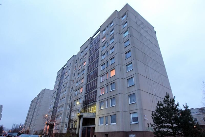 Sostinės daugiabutis – lyg širšių lizdas