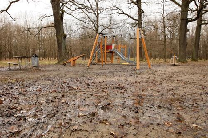 Treniruokliai parkuose skendi purve